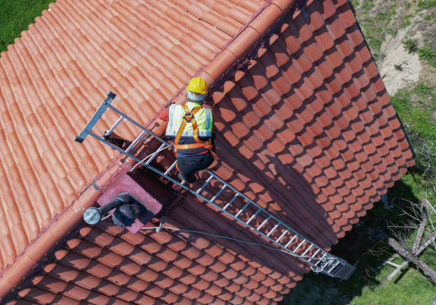 Best Roof Repair  in Bagley, MN